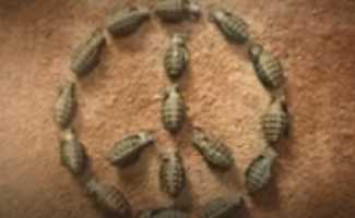 Little Big – Generation Cancellation клип смотреть