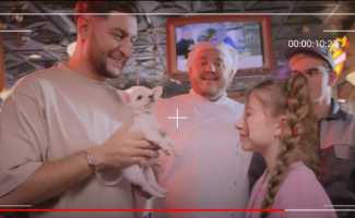 Милана Хаметова – Купи пёсика смотреть клип